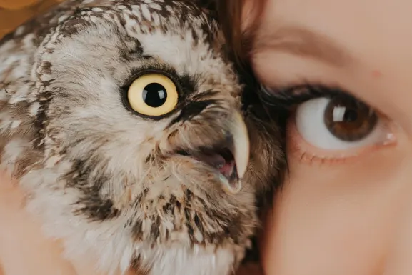 로토마트 카지노 지원